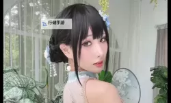 雨波图集破解免费版更新内容：版本更新要点与新增功能一览