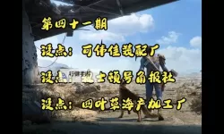 《辐射4》dlc全传奇前缀代码一览 传奇前缀代码效果解析