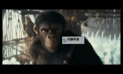 最好看最新高清中文字幕电影榜单：2025年度热映与经典回顾