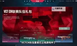 《无畏契约》VCT联赛CN赛区战队皮肤一览