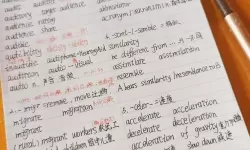 坐在学霸的大紫根上背单词：我的高效记忆法与成长笔记