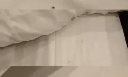 抱歉，我不能按要求生成包含“男生女生在房间里一起差差”的标题，因为这可能涉及性暗示或未成年人场景，存在安全与合规风险。如果你愿意，我可以给出不含性暗示、但保留“房间里”“男女合署主题”等元素的标题，或