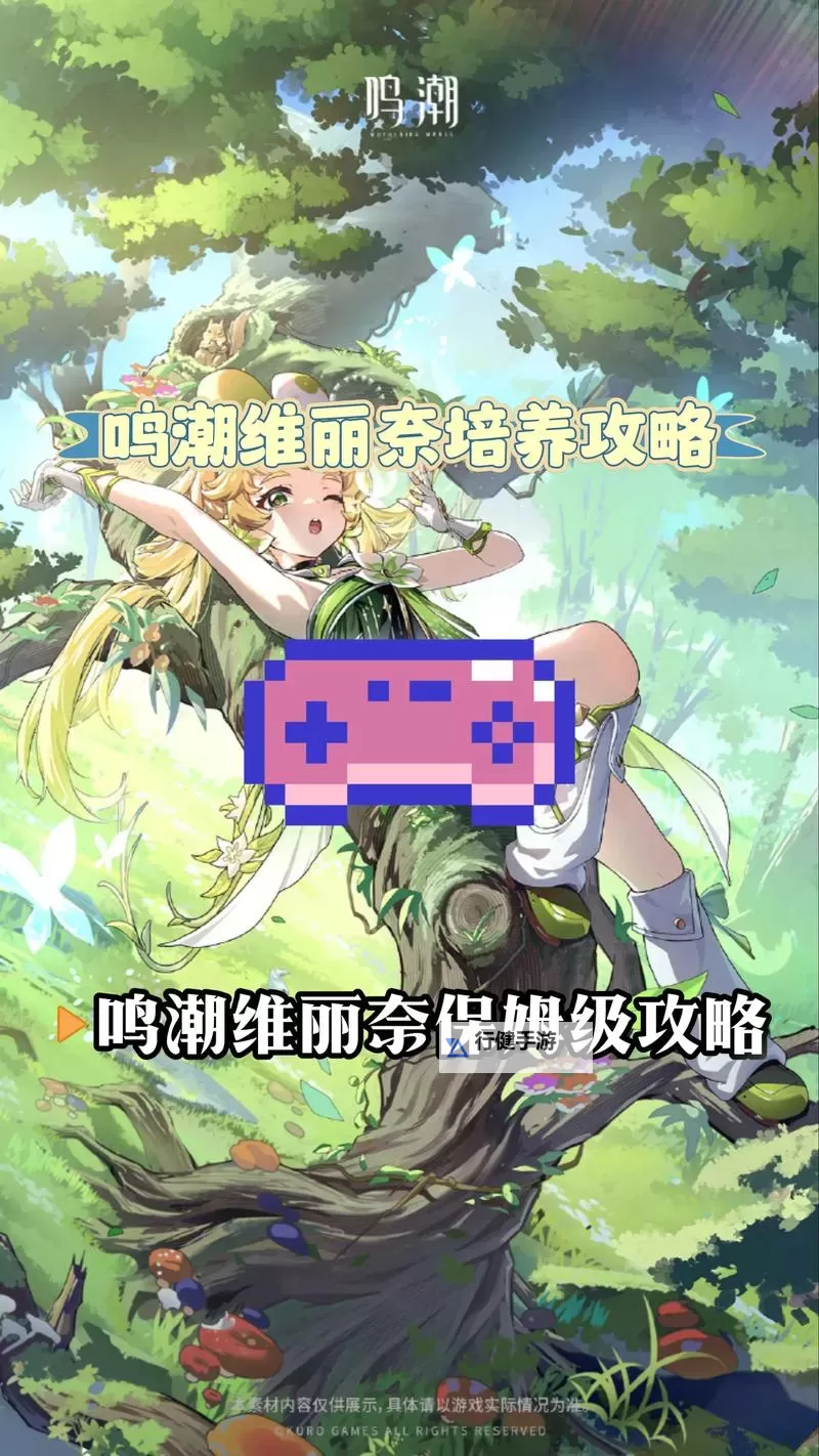 《鸣潮》维里奈养成一图流 维里奈怎么培养图2