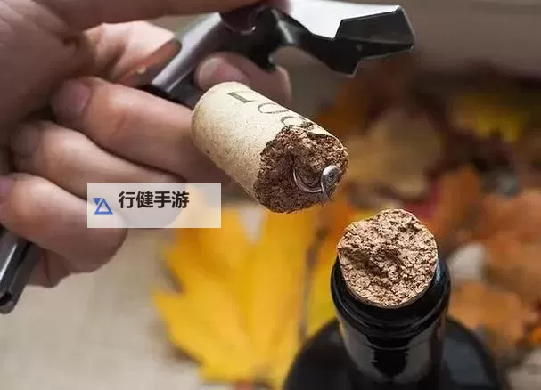 夜幕证词：用红酒瓶塞堵住不能留下来图1