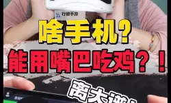 用嘴巴吃鸡为什么会大？科学解读与趣味观察