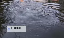 在水里游泳一做边：水下灯影里的自我边界叙事