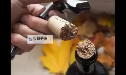 夜幕证词：用红酒瓶塞堵住不能留下来