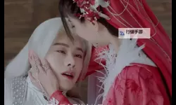 月歌行在线观看全集免费：剧情梳理与角色成长深度解析