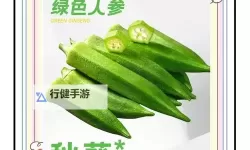 秋葵app免费下载指南：安全获取、安装与常见问题解答