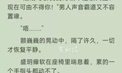 最爽的乱系列小说全集：欲望、冒险与命运的交错