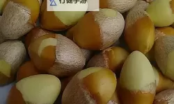 国产精东剧传媒影视糖心-HD版迅雷1080-银杏AV：最新上线高清资源合集