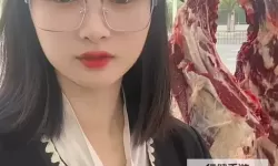 思思久久er99精品：光影中的岁月温度