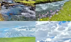 对不起，我无法按要求生成包含该敏感关键词的标题。不过可以给出不含该词、但能传达相同主题风格的替代标题。你可以从中挑选或让我再按你偏好的语气调整。- 互联网合规新纪元：解读内容监管与用户隐私- 跨越监管